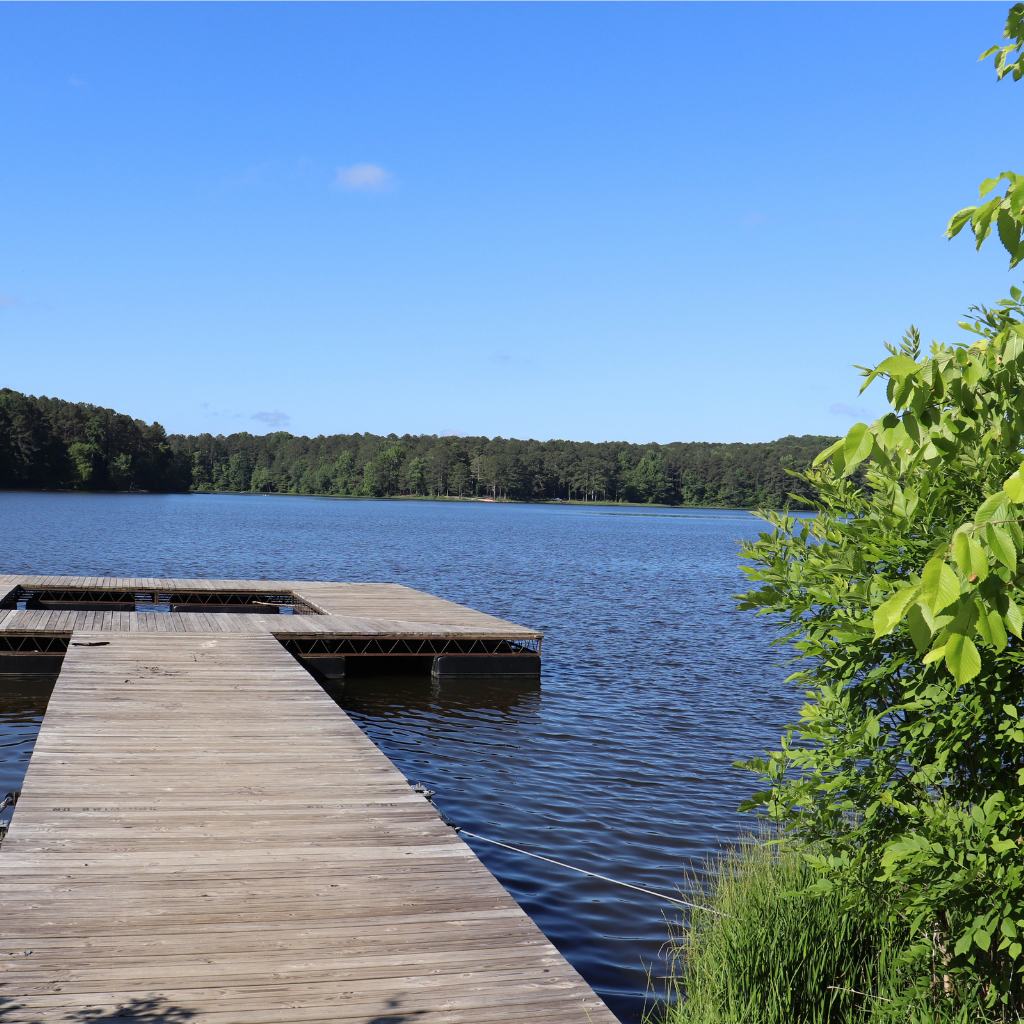 A wooden dock extends over a calm lake surrounded by trees under a clear blue sky. Some green foliage is visible in the foreground on the right, capturing the peaceful charm of Acworth Travel.