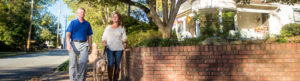 A man and a woman walk their dog on a sidewalk beside a brick wall, with houses and trees in the background.