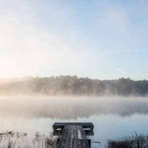 A wooden dock extends into a calm lake surrounded by mist, with a forested shoreline in the background under a clear sky—a scene as refreshing as enjoying 6 winter combos for fresh food and a good mood in Acworth.