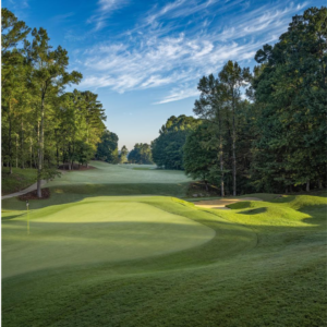 Discover five new reasons to put Acworth on your travel bucket list, starting with its picturesque golf course. Experience the well-maintained green, surrounded by majestic trees under a clear blue sky dotted with clouds - a perfect escape for both amateurs and pros alike.