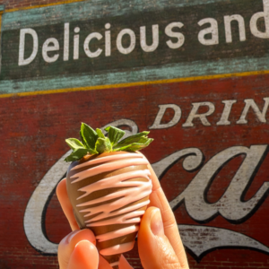 A hand holds a chocolate-covered strawberry with white drizzle in front of a vintage Coca-Cola mural—just one of the five new reasons to put Acworth on your travel bucket list.