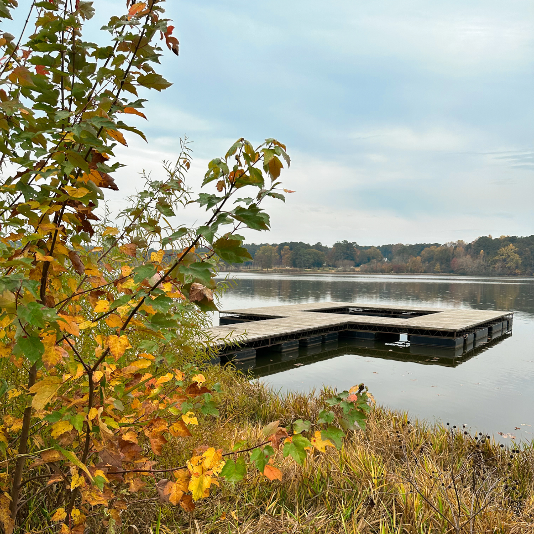 Leaves in fall colors near a calm lake with a wooden dock under a cloudy sky present one of five new reasons to put Acworth on your travel bucket list.