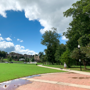 A person strolls through a park in Acworth, walking two small dogs along a paved path. The sky is partly cloudy, casting reflections in a nearby puddle. With charming houses and cars in the background, it offers one more reason to add this destination to your travel bucket list.