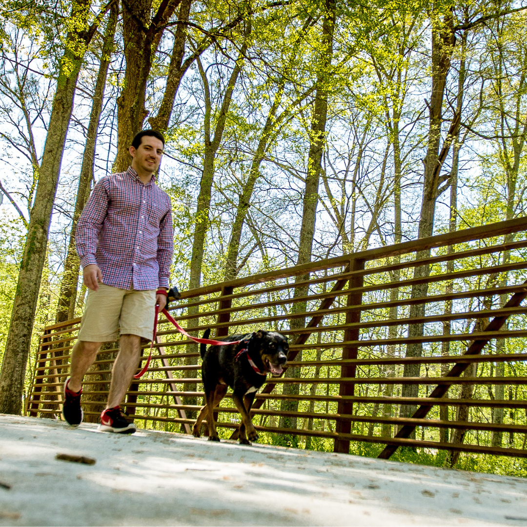 A person walking a dog on a leash across a bridge in Acworth's scenic wooded park area during the day is just one of the many reasons to put this charming destination on your travel bucket list.