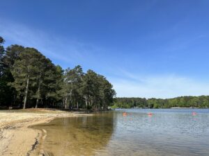 A calm lake bordered by a sandy shore and pine trees under a clear blue sky, with several orange buoys floating in the water.