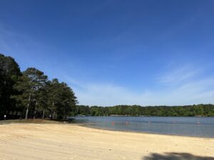 A sandy beach with clear water by a lake, bordered by trees under a blue sky. Orange buoys are visible in the water near the shore.