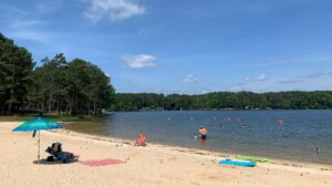 People relax on a sandy beach with towels, umbrellas, and floats while others swim in a lake bordered by trees under a blue sky.