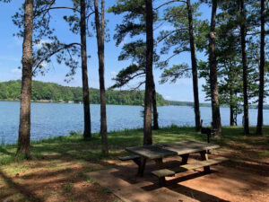 A wooden picnic table and bench sit under tall pine trees by a lake at Dallas Landing, with green forest visible on the opposite shore under a blue sky.