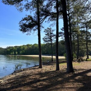A lakeside beach area with calm water and tall trees casting shadows offers one of the best Ways to Stay Cool this Summer in Acworth, complete with a sandy shore in the background and a few picnic tables on the ground.