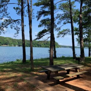 Wooden picnic table and grill under tall pine trees by a calm lake with forested shoreline—a perfect spot to enjoy Ways to Stay Cool this Summer in Acworth on a clear, sunny day.