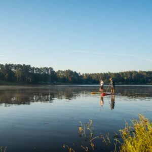 Two people stand on paddleboards in the middle of a calm lake surrounded by trees, with clear blue sky and reflections on the water—a perfect way to stay cool in Acworth.