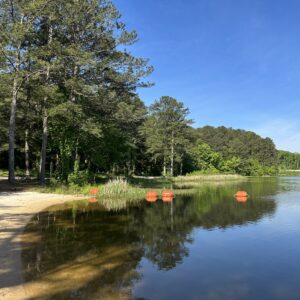 A calm lake bordered by tall trees, with several orange buoys floating near the shore under a clear blue sky—it's the perfect spot to stay cool in Acworth.