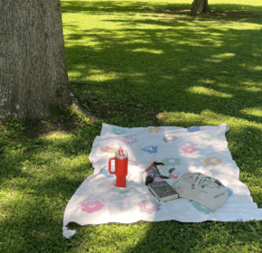 A picnic blanket with a flower pattern is laid on grass near a tree, holding a water bottle, snacks, a book, and a tote bag—perfect for an end of summer bucket list adventure in a sunlit park.