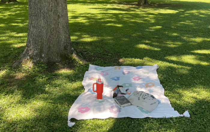 A picnic blanket with a flower pattern is laid on grass near a tree, holding a water bottle, snacks, a book, and a tote bag—perfect for an end of summer bucket list adventure in a sunlit park.
