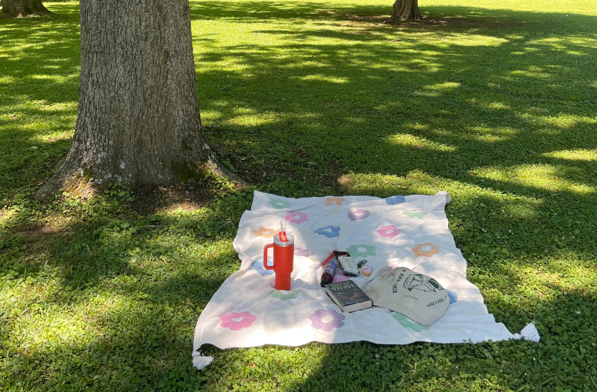 A picnic blanket with a flower pattern is laid on grass near a tree, holding a water bottle, snacks, a book, and a tote bag—perfect for an end of summer bucket list adventure in a sunlit park.