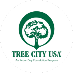 Green logo of a tree inside a circle above the words "TREE CITY USA, An Arbor Day Foundation Program" on a white background.
