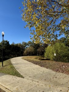 Curved concrete path with fallen leaves winds through a park with autumn trees, a streetlamp, and a clear blue sky overhead, capturing the scenic beauty often found along the trails in Acworth.