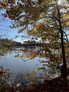 Tree with autumn leaves frames a wooden pier over calm lake water under a clear, sunny sky. Reflections of the leaves and pier are visible on the lake’s surface, creating a tranquil scene reminiscent of the scenic trails in Acworth.