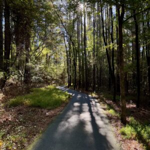 Paved path winding through a sunlit forest with tall trees casting long shadows on the ground, reminiscent of the scenic trails in Acworth.