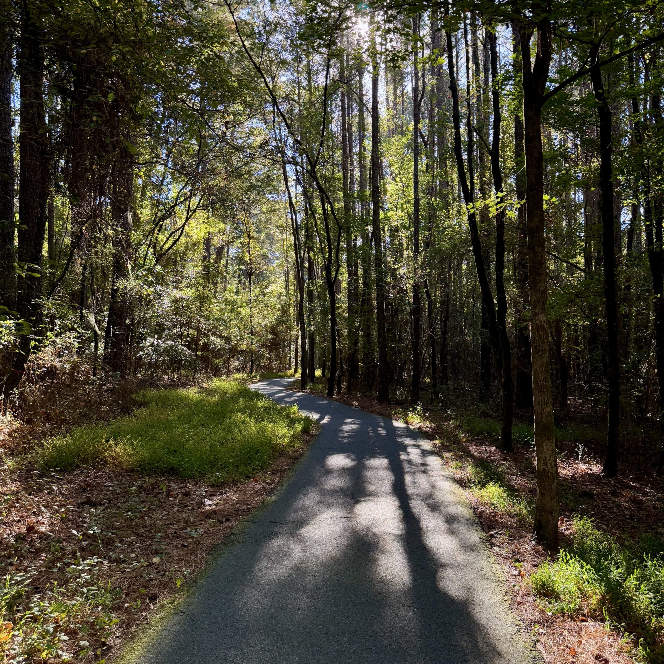 Photo Oct 15 2025, 10 17 52 AM Paved path winding through a sunlit forest with tall trees casting long shadows on the ground, reminiscent of the scenic trails in Acworth.