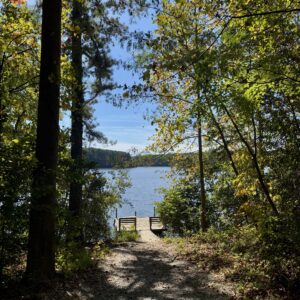 A wooden dock extends into a lake, surrounded by trees with green and yellow leaves on a sunny day—perfect for relaxing after exploring the scenic trails in Acworth.
