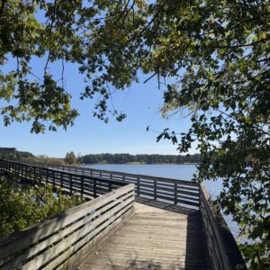 A wooden boardwalk with railings extends over a lake, surrounded by trees with green leaves under a clear blue sky—one of the scenic trails in Acworth.