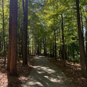 A paved path curves through a sunlit forest with tall trees and scattered fallen leaves, inviting you to explore the scenic trails in Acworth.