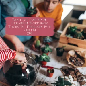 People gather around a table arranging small succulents and materials for a tabletop garden and terrarium workshop; workshop details are displayed in text on the image.