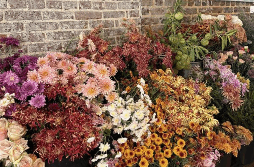 A variety of colorful chrysanthemums and other flowers are arranged in bunches against a brick wall.