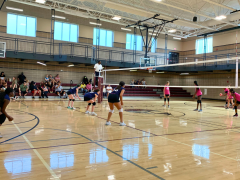 Two girls' volleyball teams face each other in a gymnasium, with one team preparing to serve and spectators watching from bleachers.