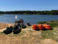 Several kayaks and paddleboards are on a grassy shore by a lake, with two people standing near a sign and trees visible across the water.