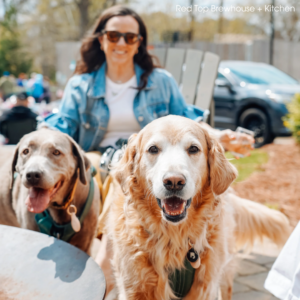 A woman in sunglasses sits outdoors with her two large dogs, enjoying one of the popular dog-friendly places in Acworth. The dogs wear harnesses and look toward the camera, while a parked car and lush greenery are visible in the background.