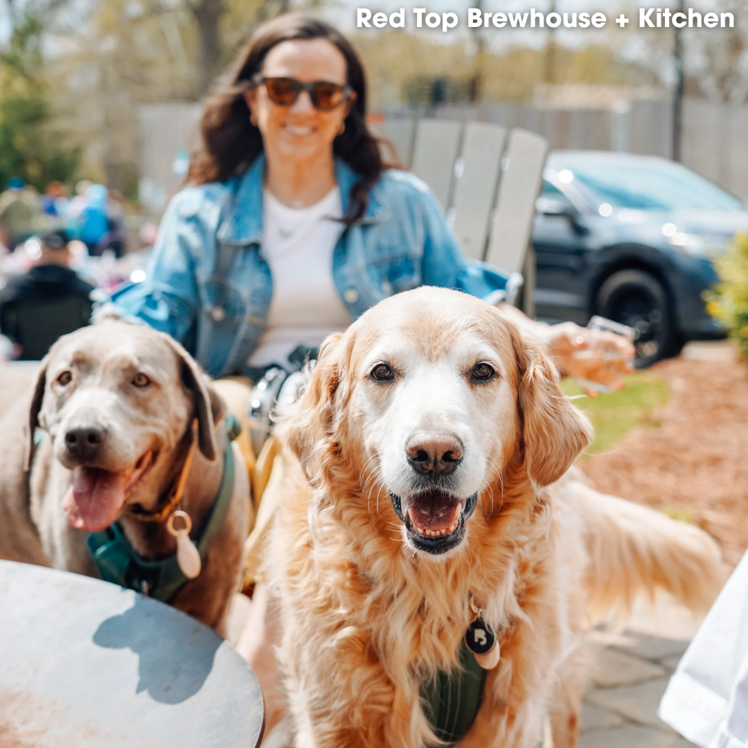 A woman sits outdoors with two large dogs at her side, enjoying one of the best dog-friendly places in Acworth. The text “Red Top Brewhouse + Kitchen” appears in the top right corner.